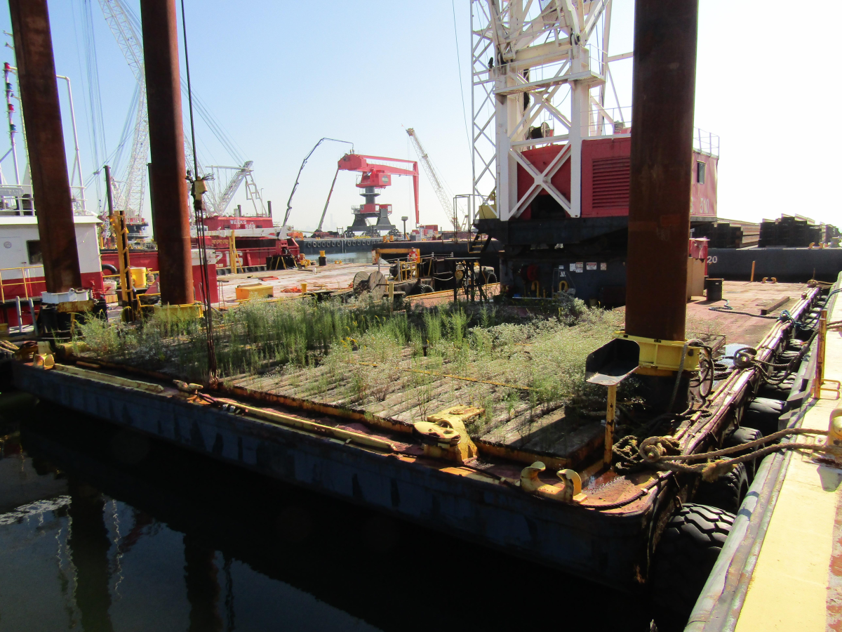 Subcategory - Other Equipment | image 19