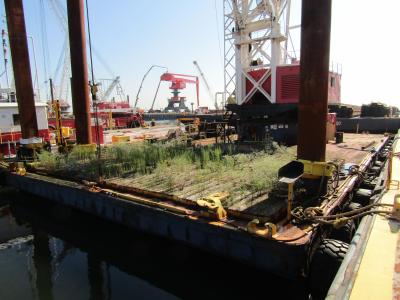 Gallery Thumbnail - Subcategory - Other Equipment | image 19