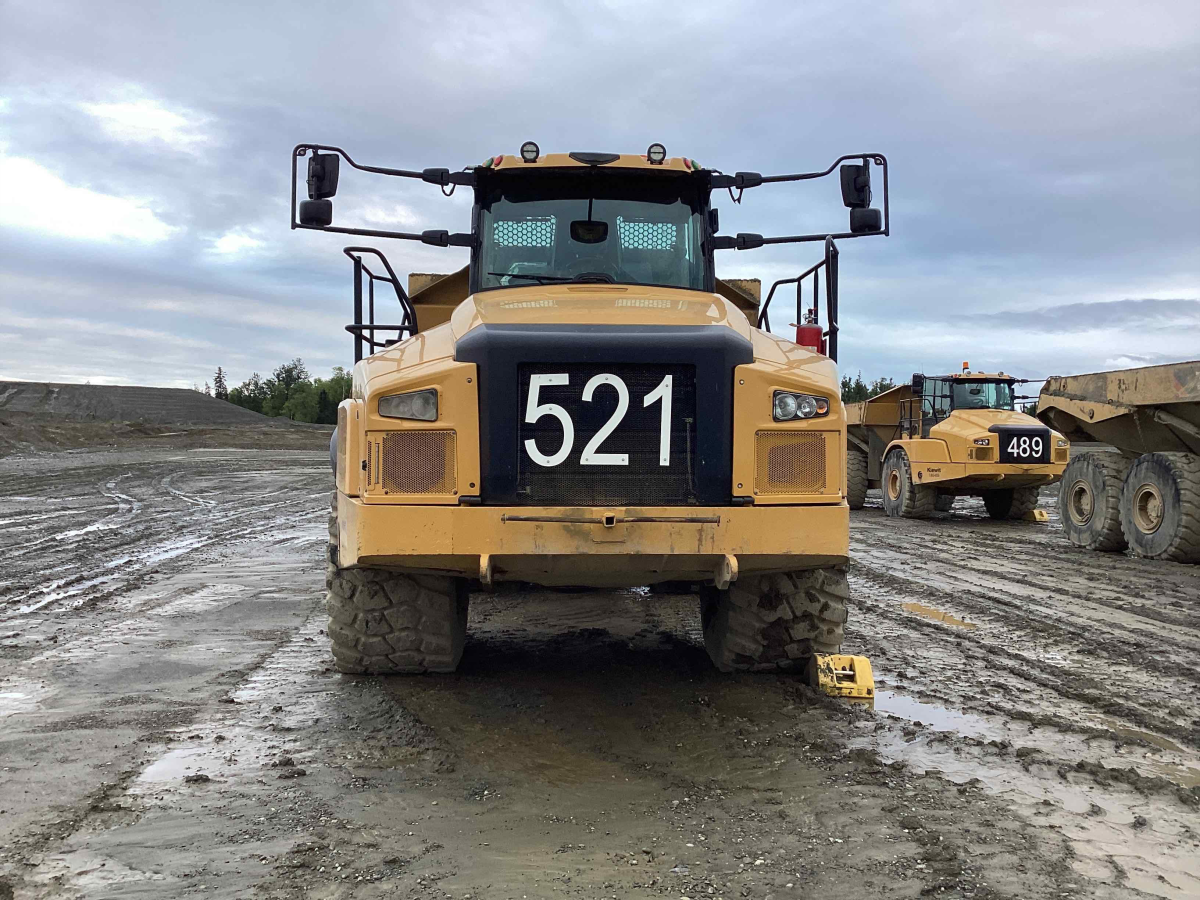 Detail Photo - 2019 Caterpillar 745 | image 4