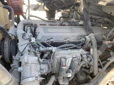 Gallery Thumbnail - Subcategory - TA Dump Trucks | image 4